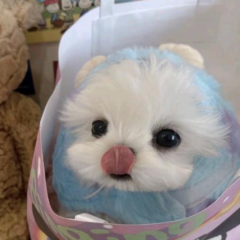 华森水族用品