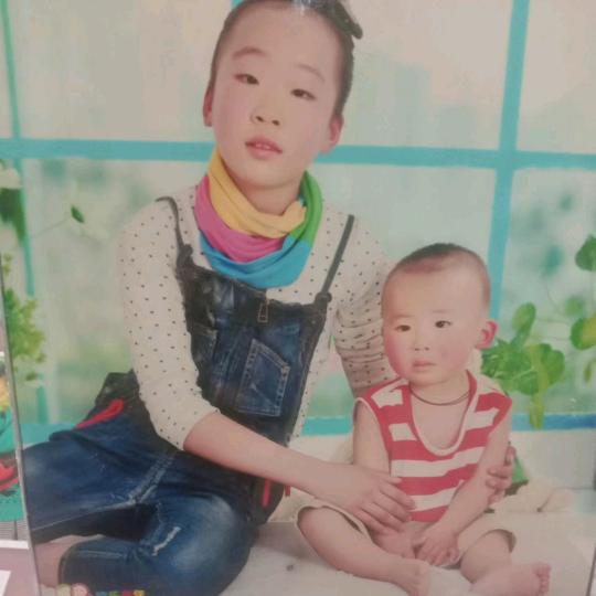 奋斗的小桔子