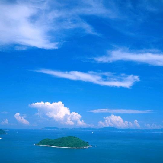 七十七亿《单身中》