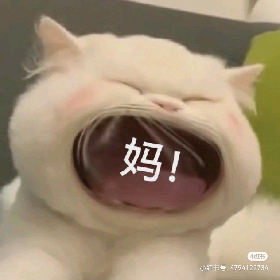 娇DD的小品格