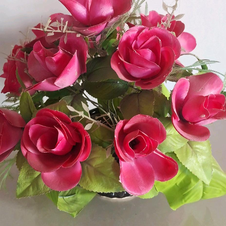 ✳️万事如意✳️🇨🇳