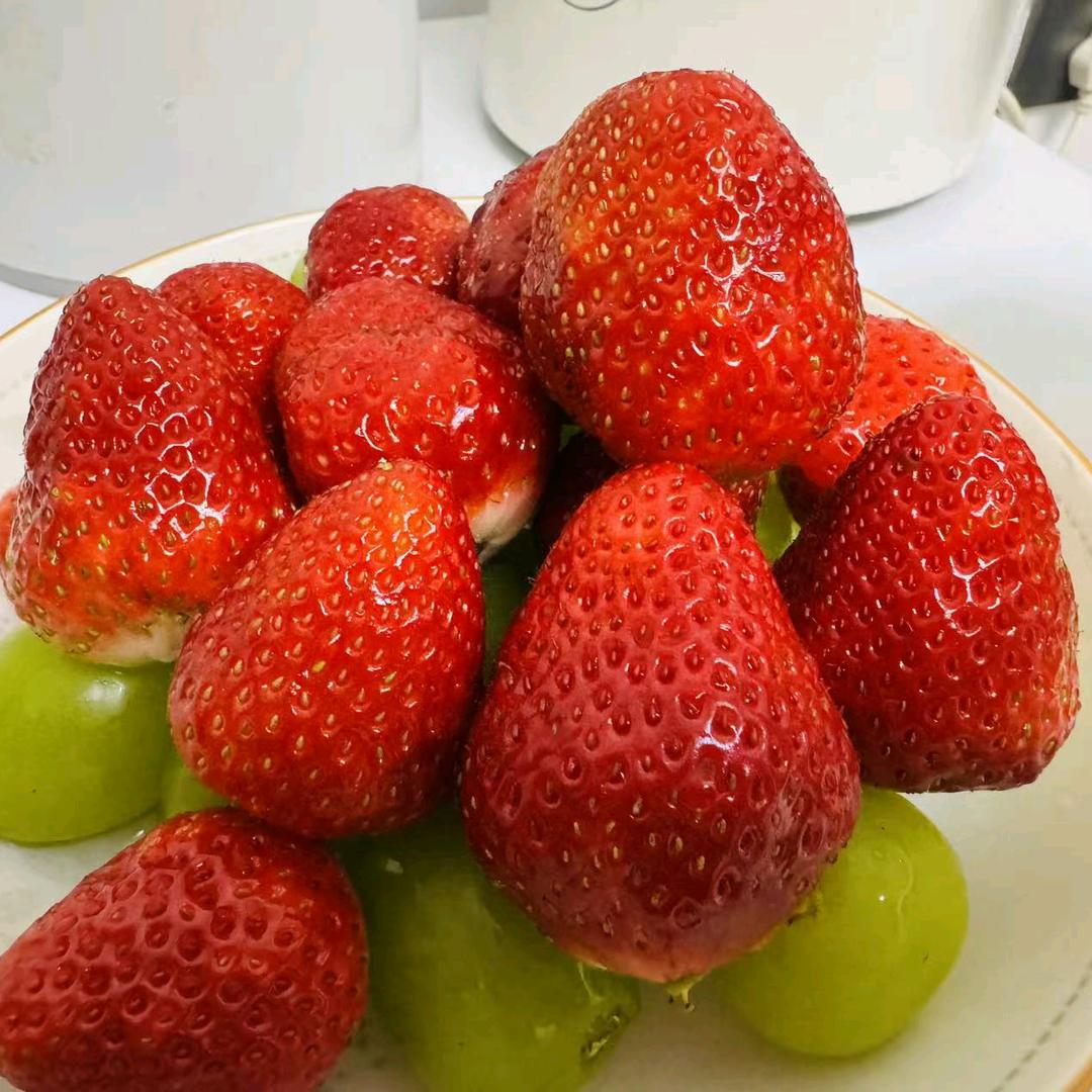 阿潮海参（东石草莓园）