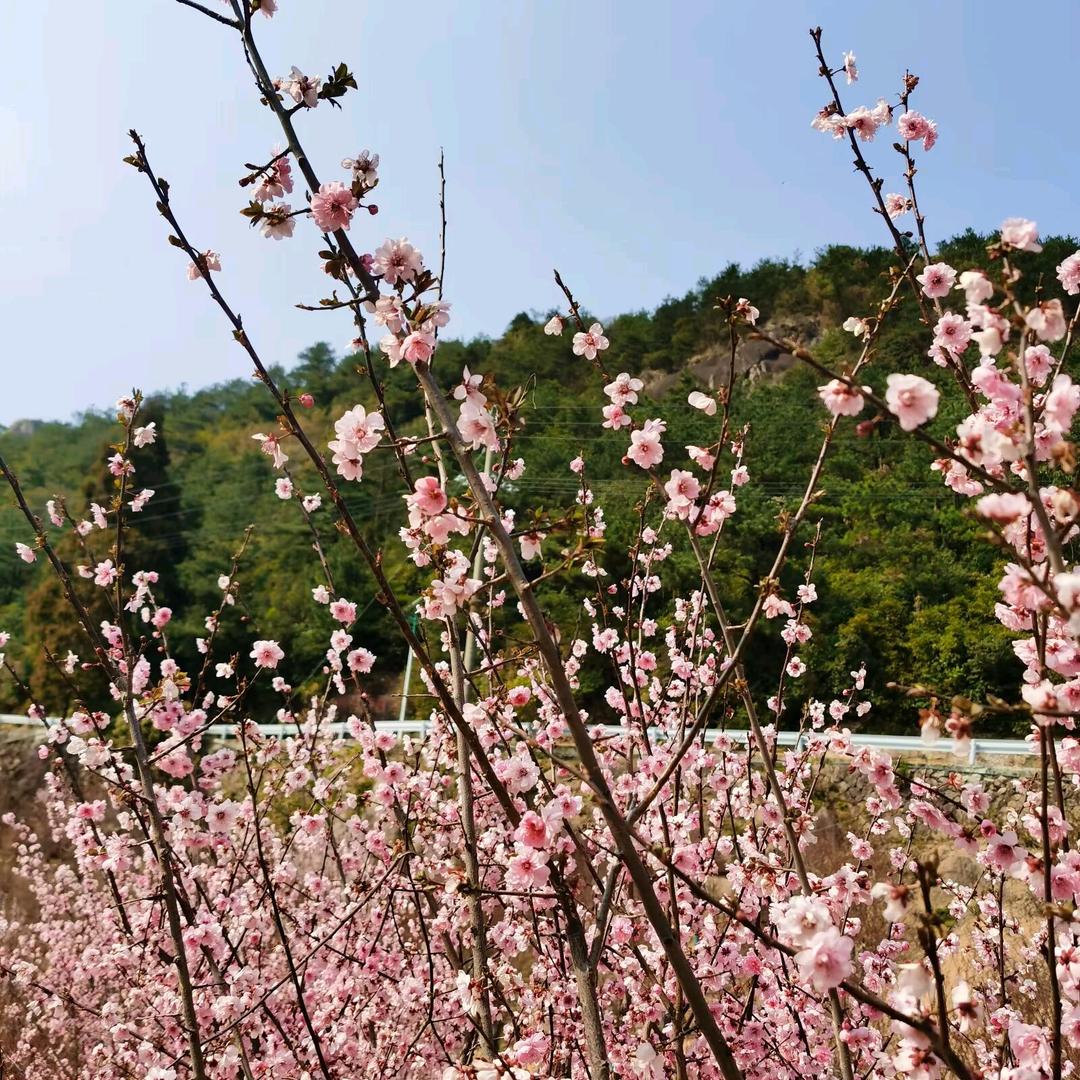 奔跑“吴”量
