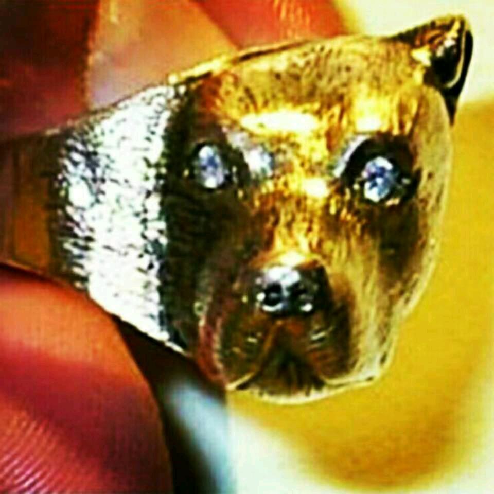 70后老郭，爱运动玩游戏下象棋斗狗