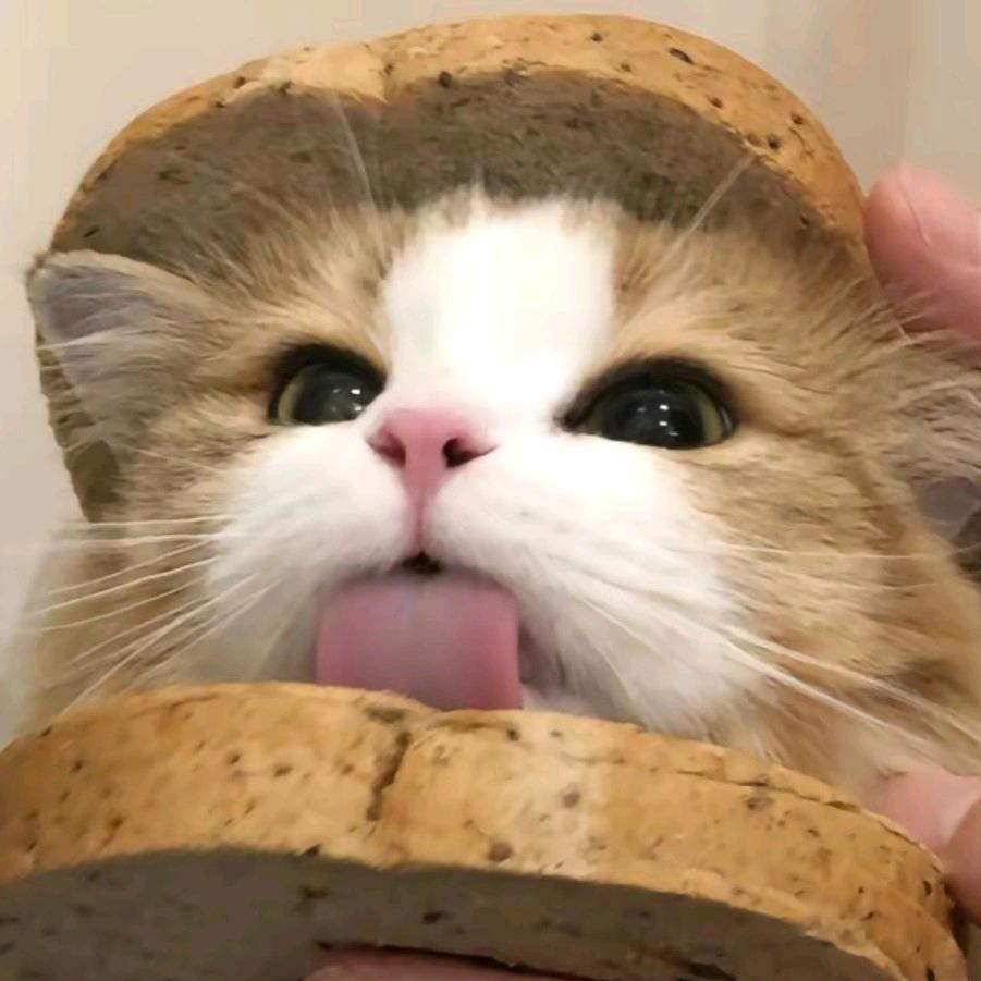 哎哎哎呆（三角洲）