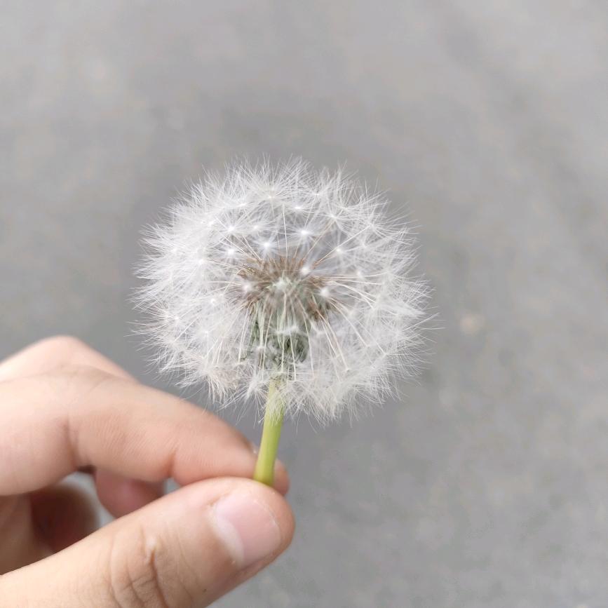 天祥水果批发大南