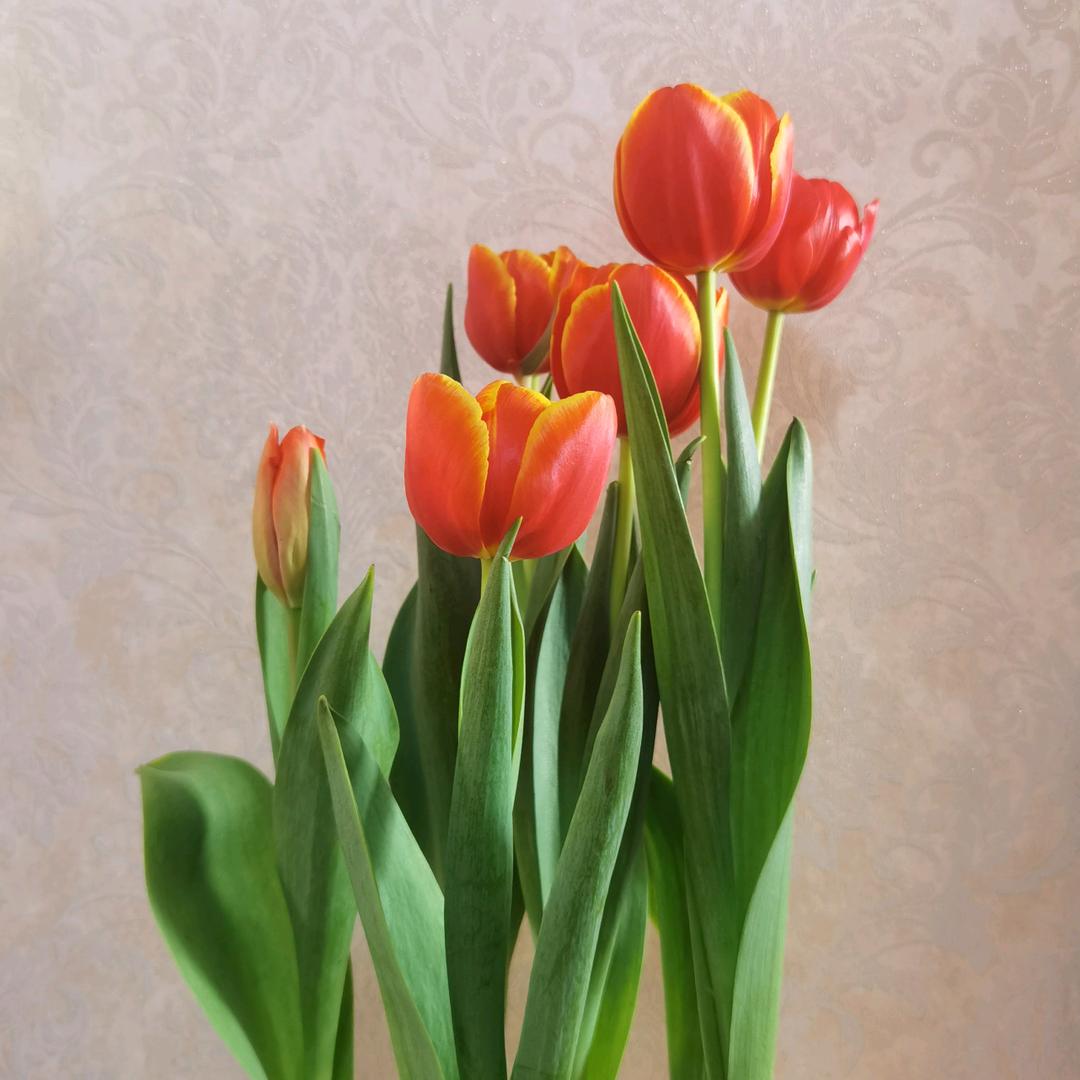 钰玺轩工艺品商行