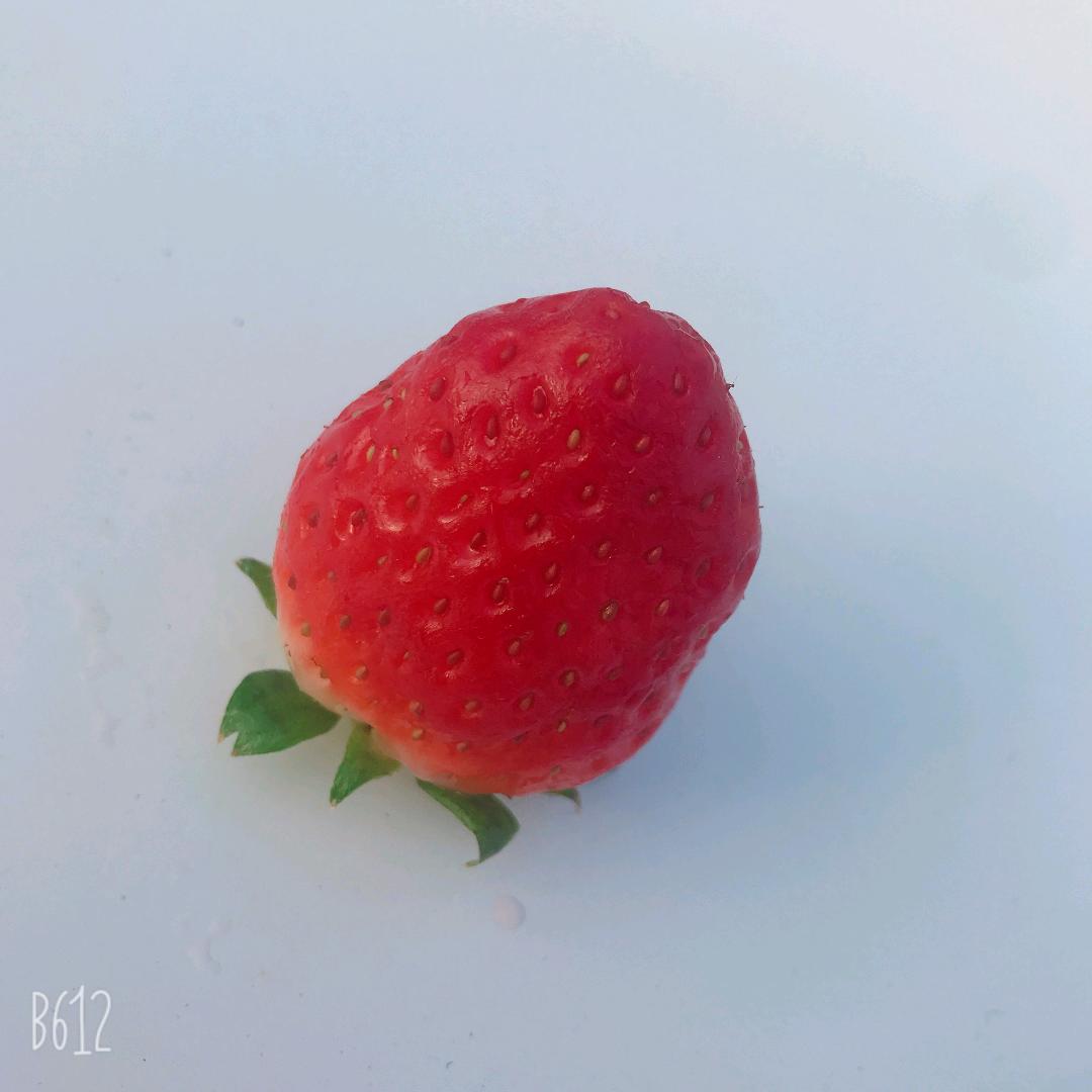 叮当猫(*^ω^*)