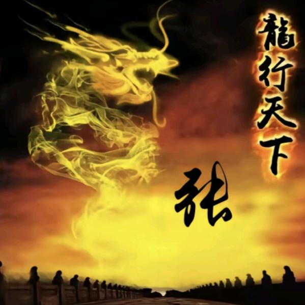 统总二公老八房金袓，白氏，后裔，26代张