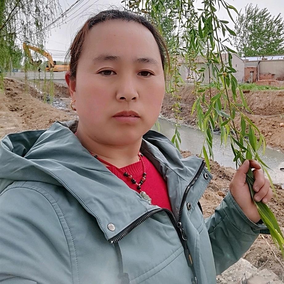 石姐（临邑大牛老豆腐）