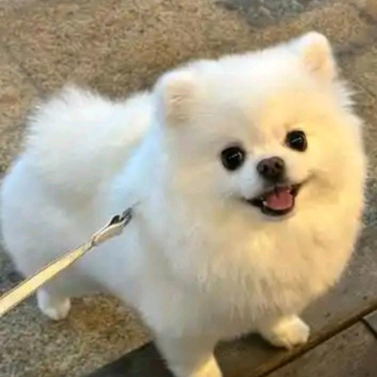 宇米莉
