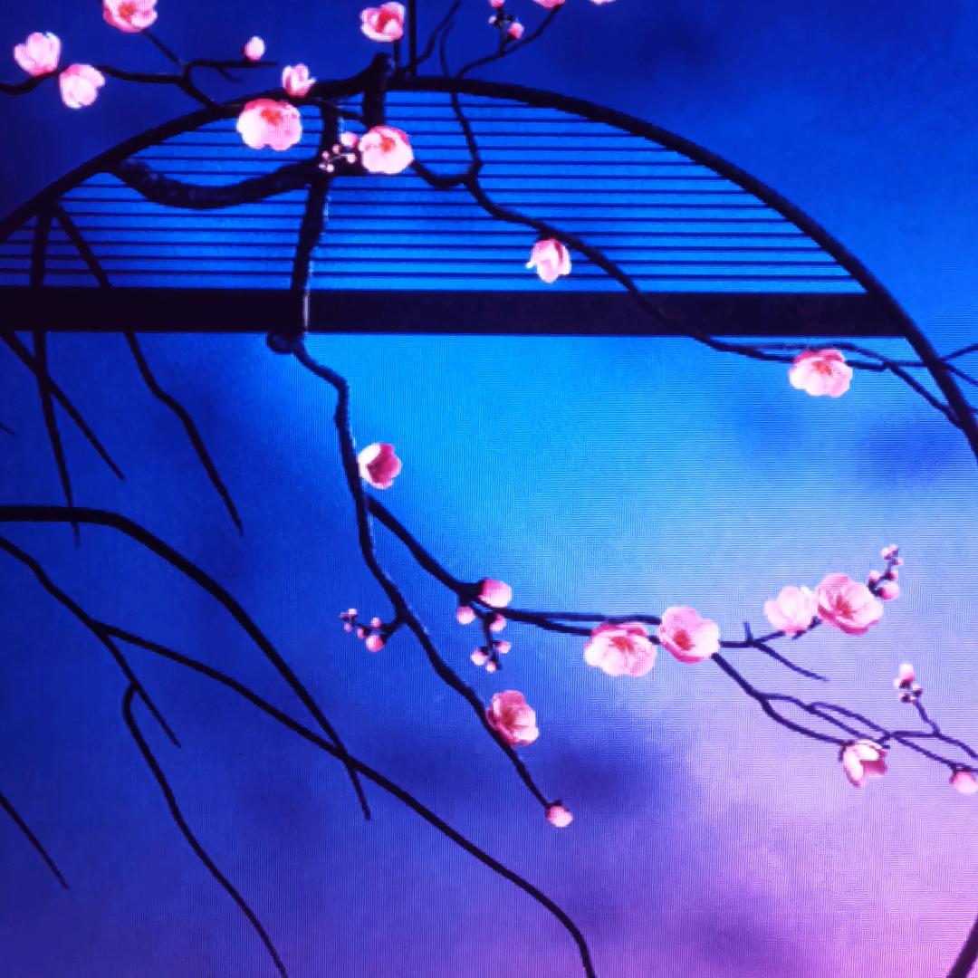 阿可