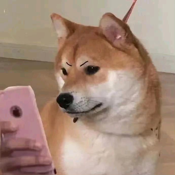 笨蛋小狗🐕