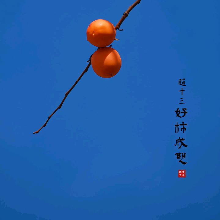 趙十三