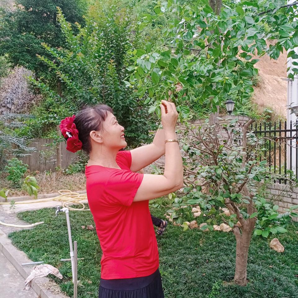 玄真如意