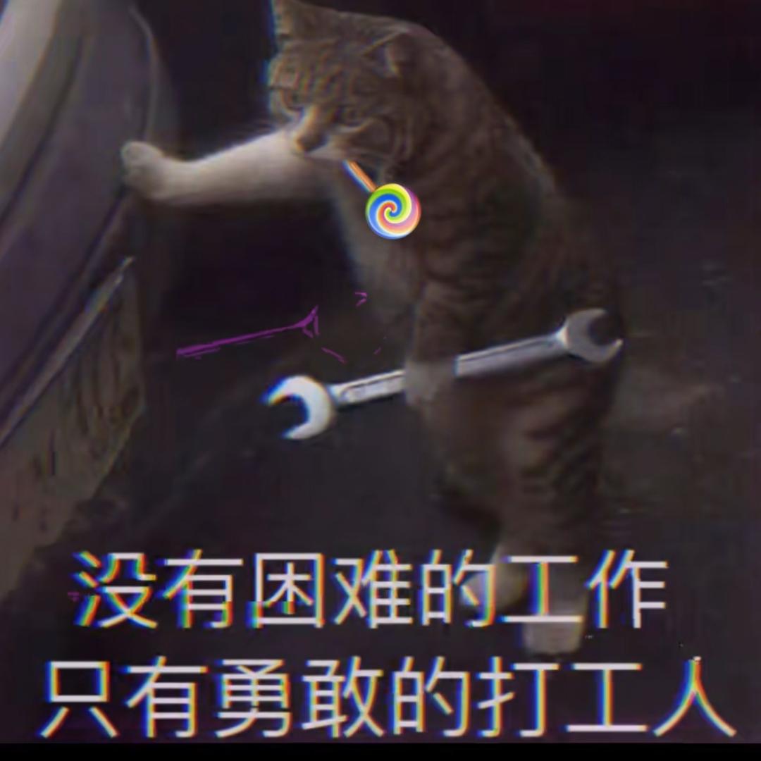 重生之我在鄄城当会计