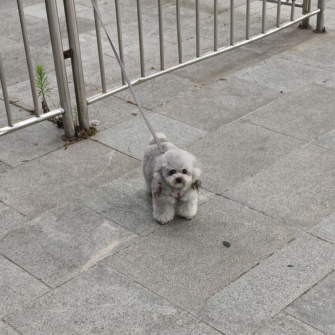 人际