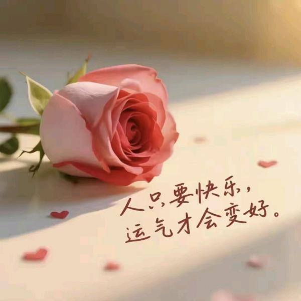 静好