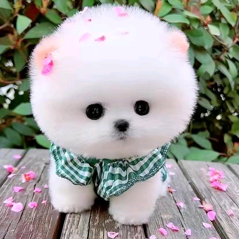 힘내세요