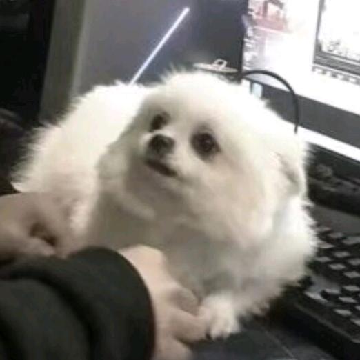 lj浠