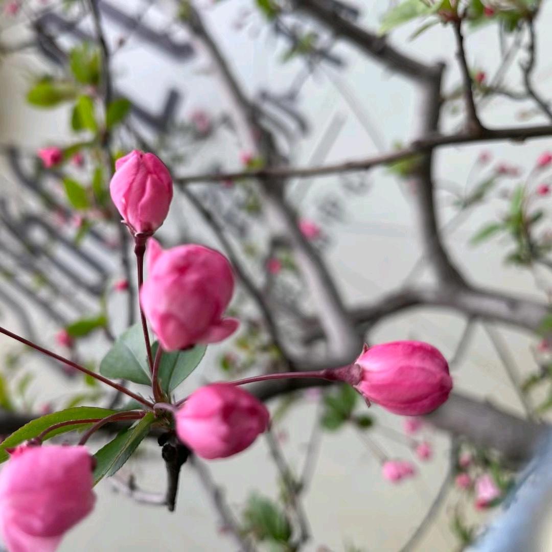 屋里温和