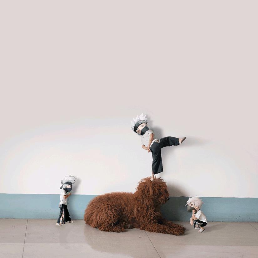 励志做个up猪