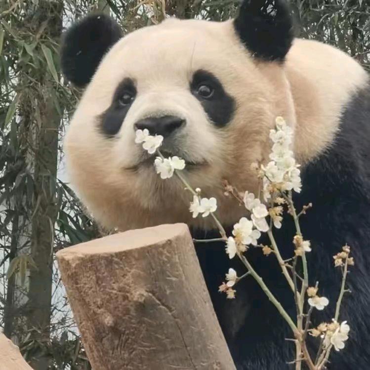 小七视界
