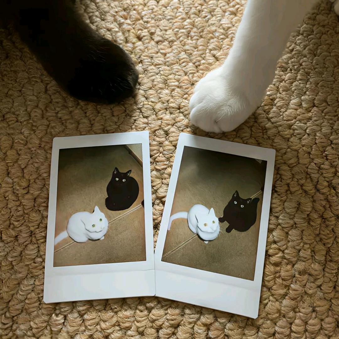 装S失手打死一个M发现他是前女友的现男友