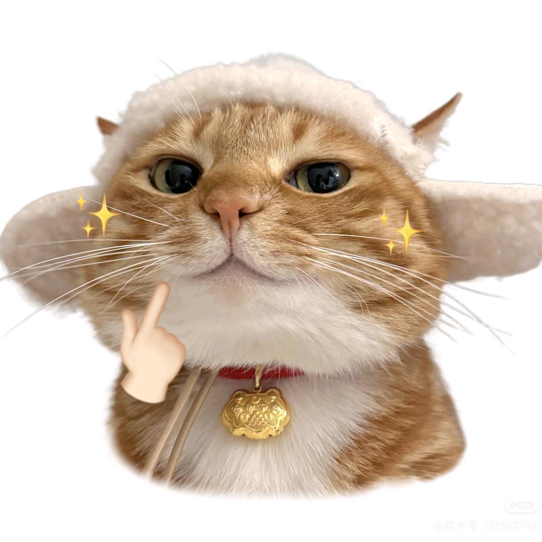 艺姩姩