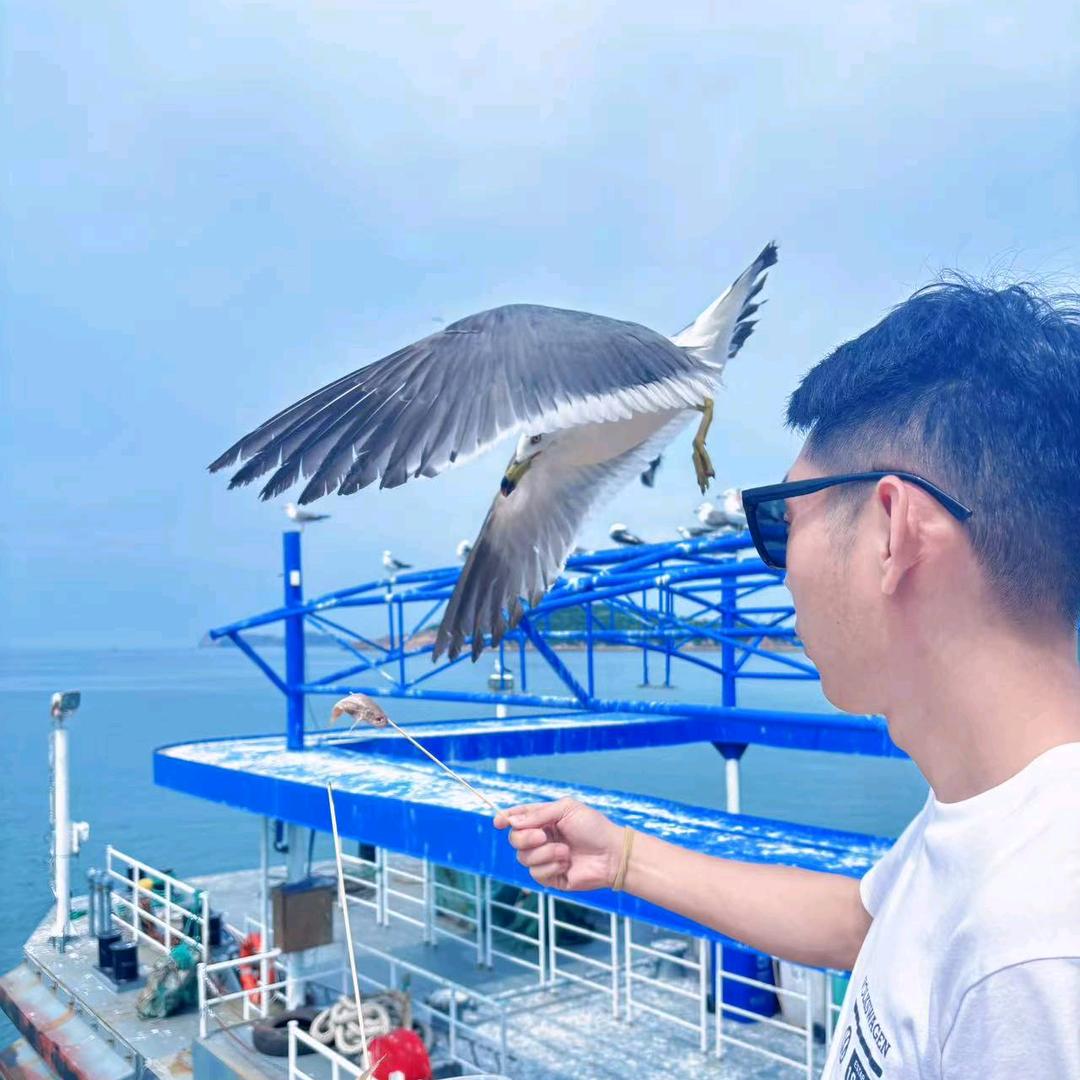 都是浮云