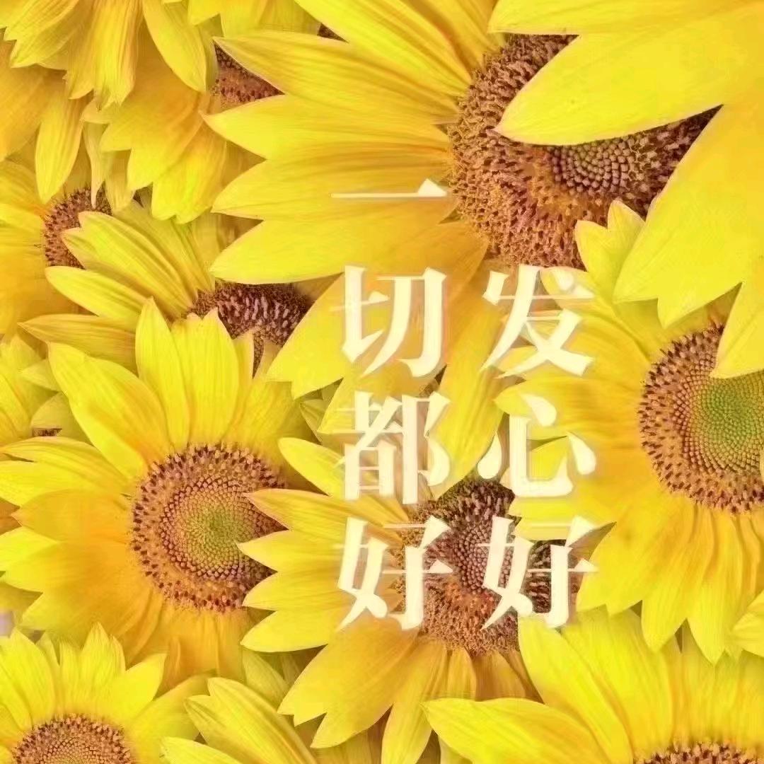 简单(拒绝连赞)