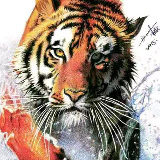 ☁️ঞৣঁ᭄一介🌊凡人ঞৣ᭄