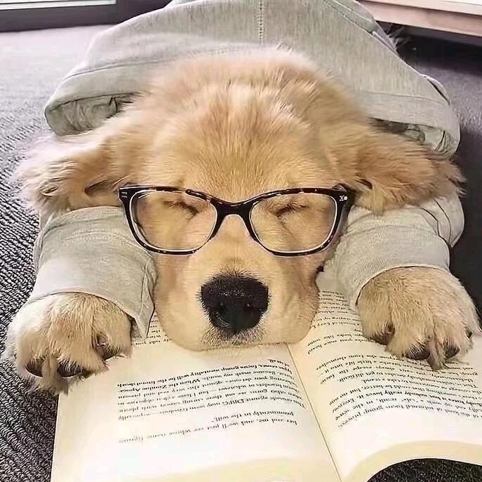 孤独