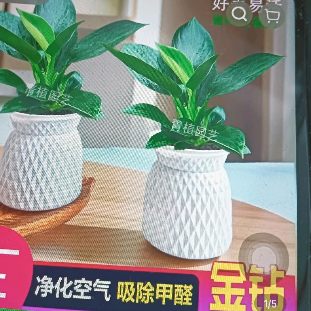 再见"，旧时光