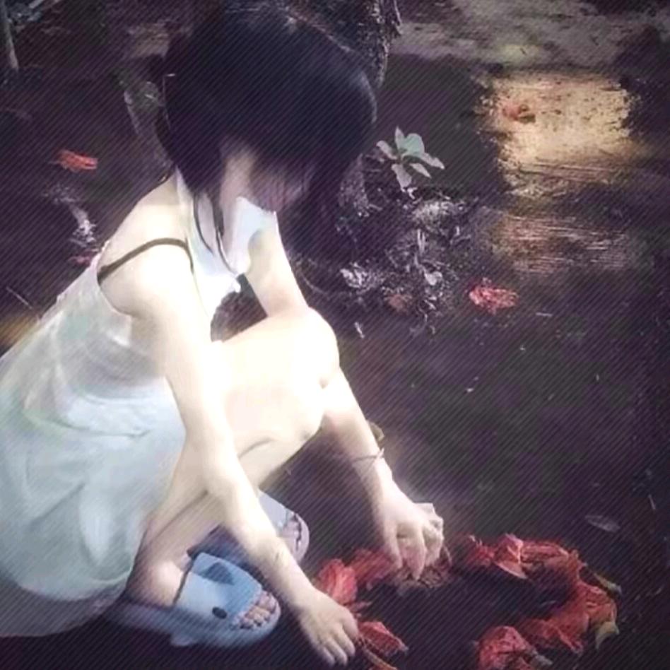 阿文❤️