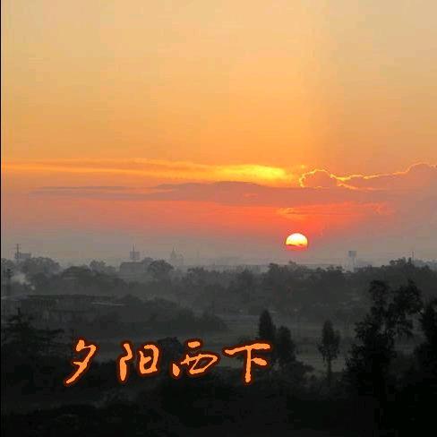 梦梦的三婚生活日常