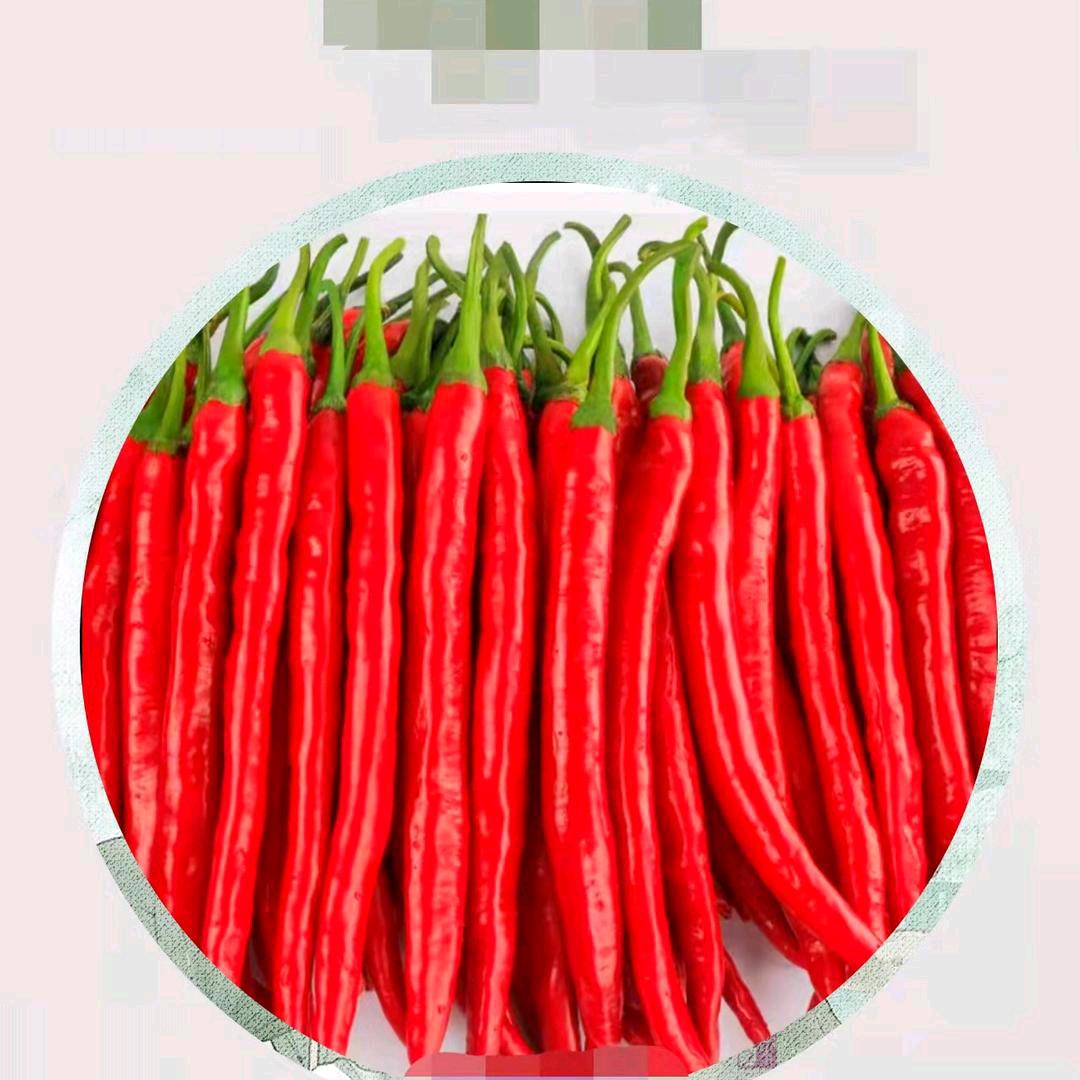 丘北文旭农业合作社