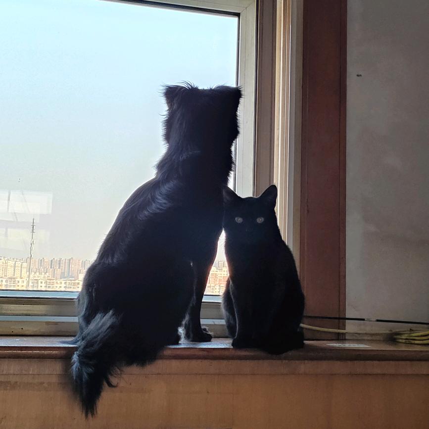 _樱桃小完犊子