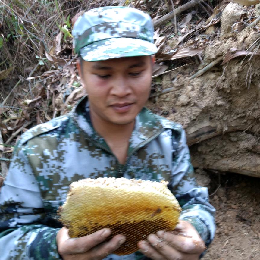 许文