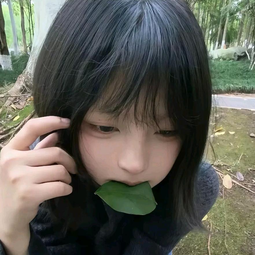 北北头像