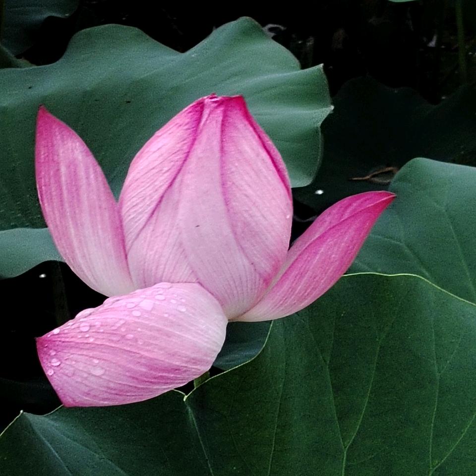 改变不了别人改变自己