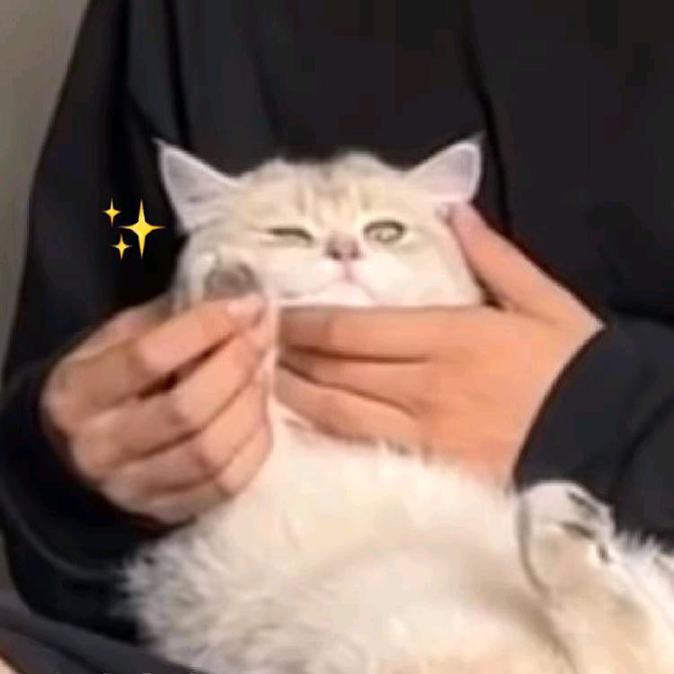 温酒