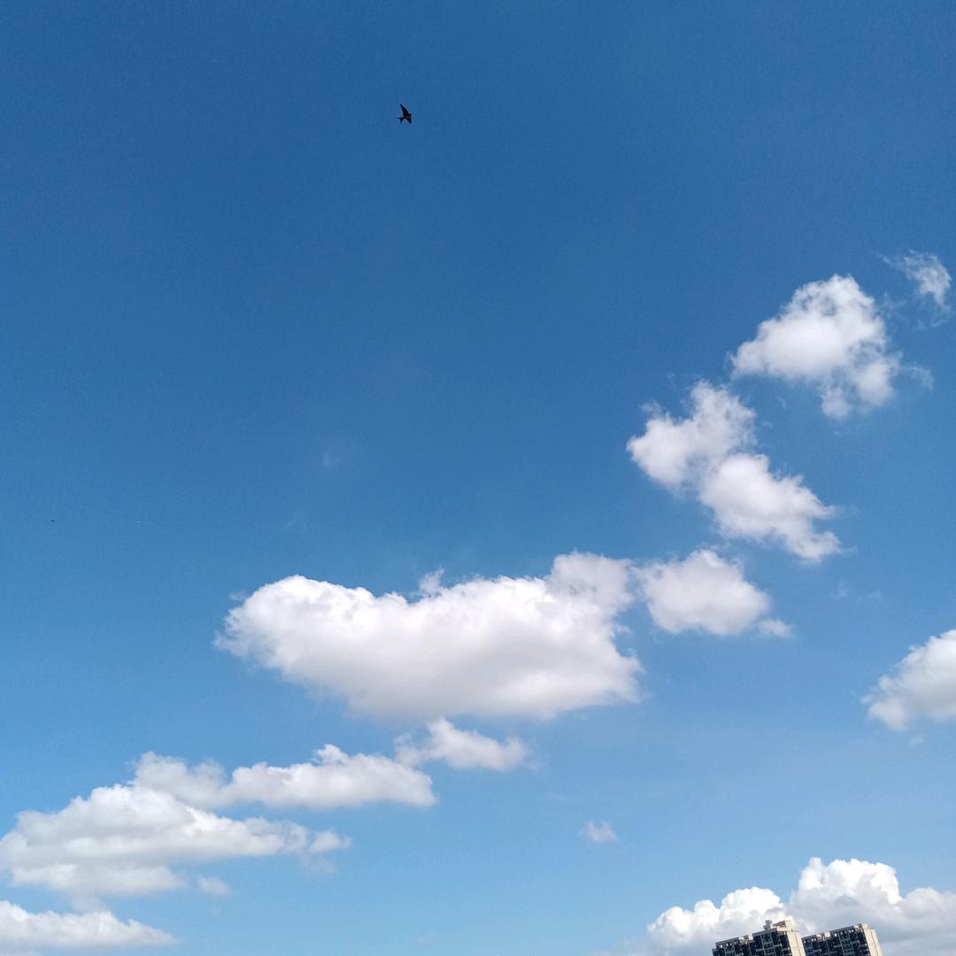 颜哥