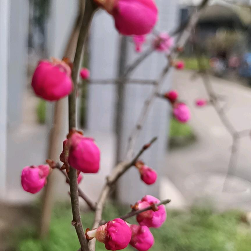 王逸飞