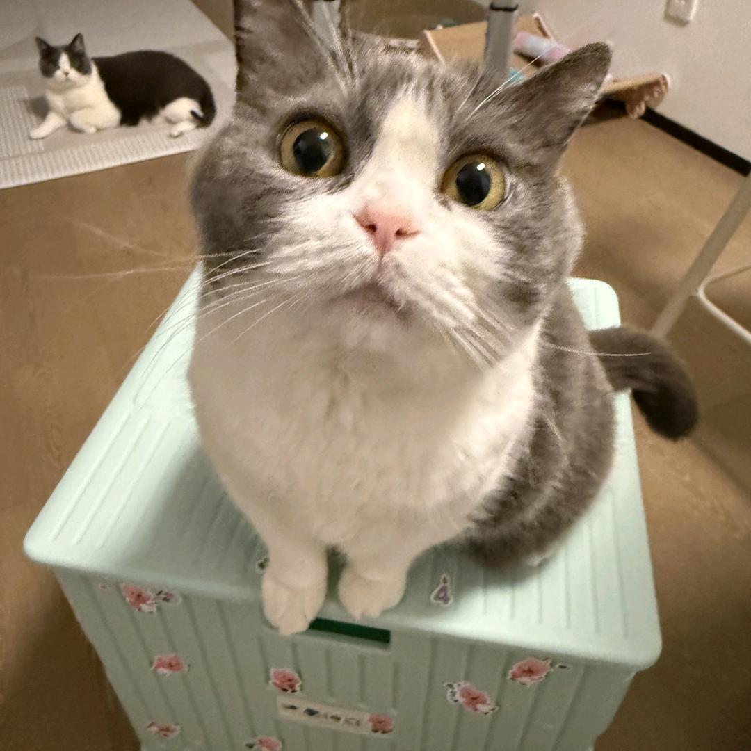 碳烤牛胸