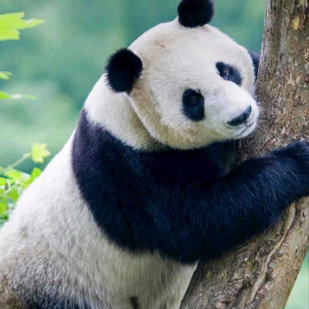 甜甜是你啊