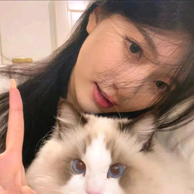 楠东辛科技小铺