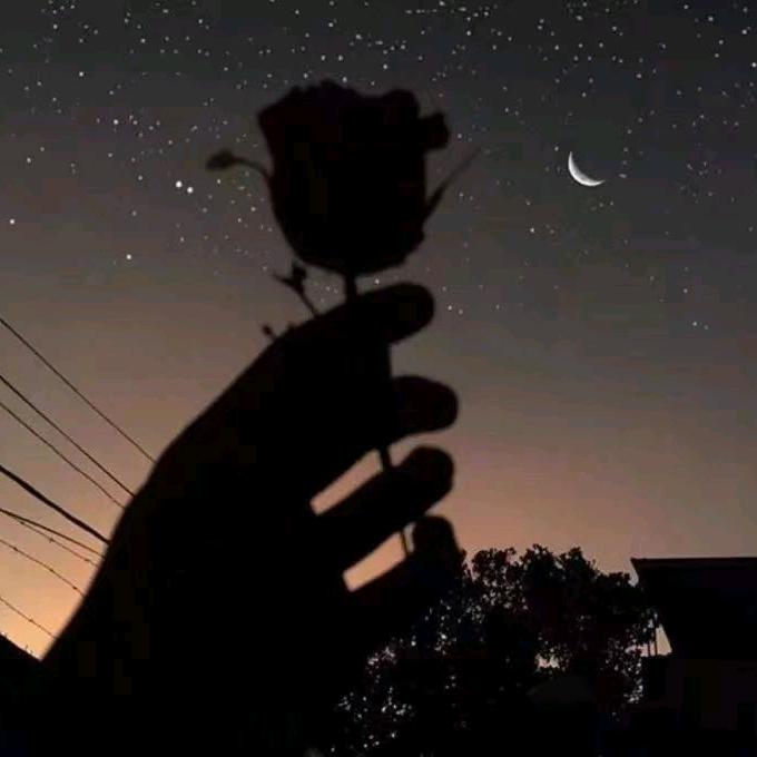 小花生🥜.¹¹⁰⁶