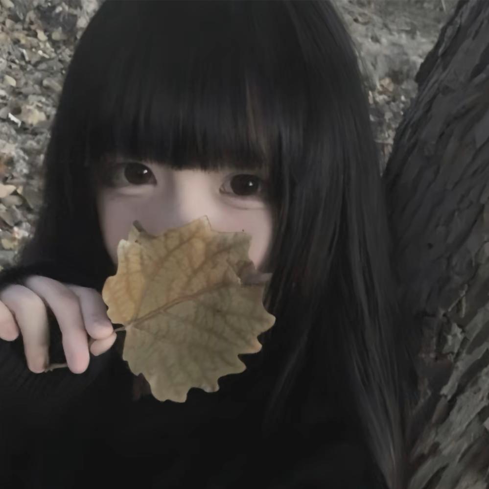 打飞我的齐刘海