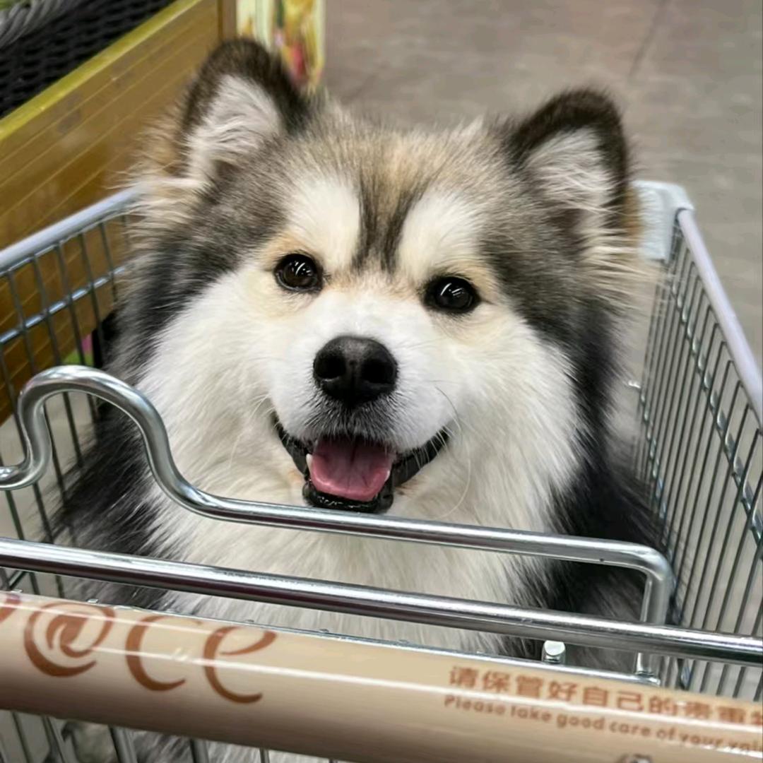 收纳时光百货用品